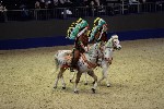 Quadrille - 00245